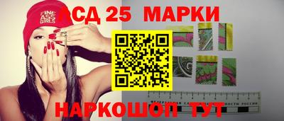 мяу мяу мука Малоярославец
