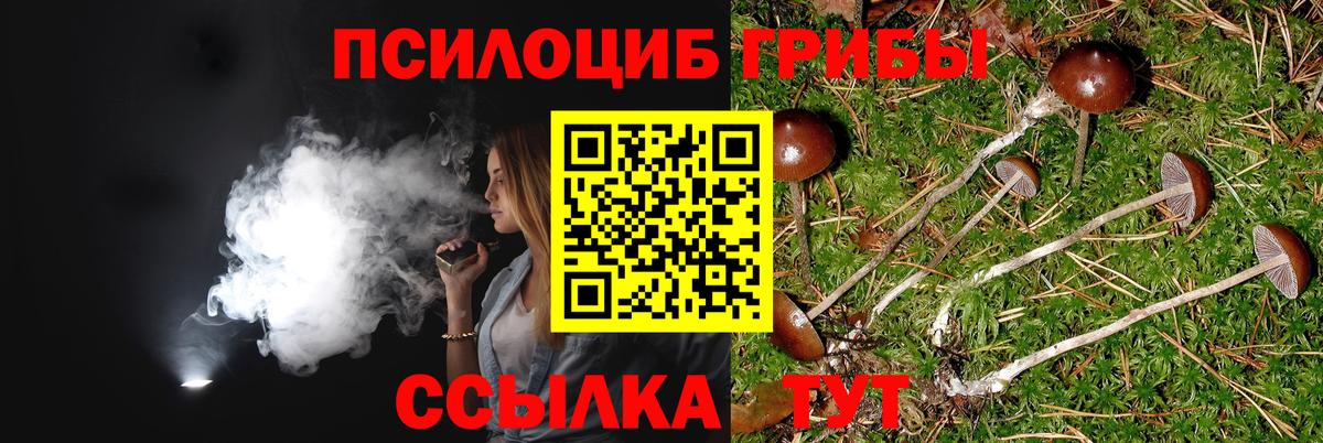 Галлюциногенные грибы мухоморы Сосновый Бор